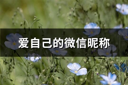 愛自己的微信昵稱(共325個)