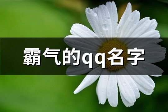 霸氣的qq名字(共161個)