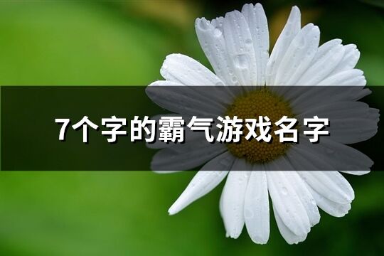 7個字的霸氣游戲名字(418個)