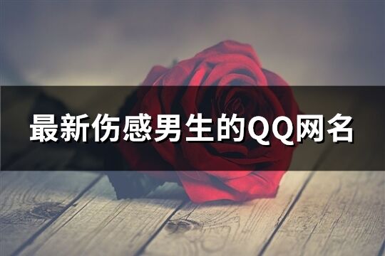 最新傷感男生的QQ網名(674個)