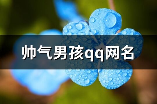 帥氣男孩qq網名(優選362個)