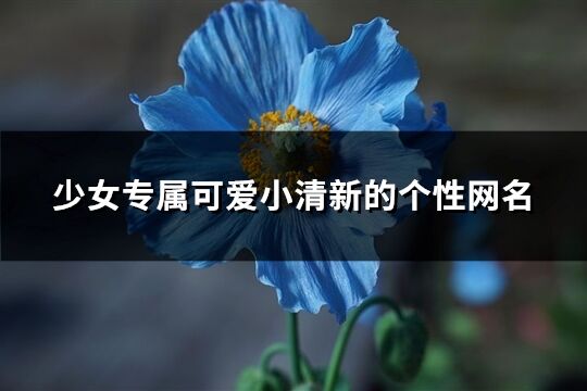 少女專屬可愛小清新的個性網名(209個)