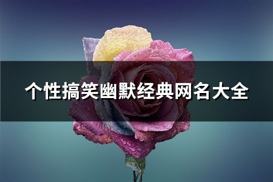 個性搞笑幽默經典網名大全(共360個)