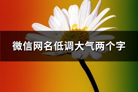 微信網(wǎng)名低調(diào)大氣兩個(gè)字(1054個(gè))