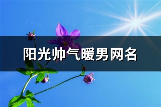 陽光帥氣暖男網名(精選200個)