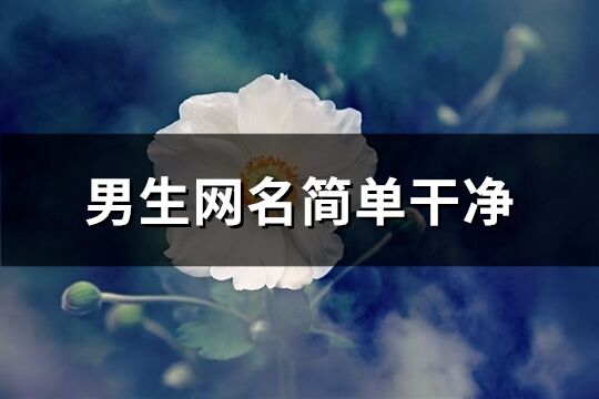 男生網名簡單干凈(精選846個)