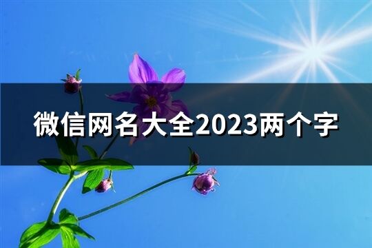 微信網名大全2023兩個字(精選1394個)