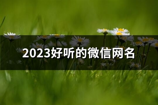 2023好聽的微信網(wǎng)名(優(yōu)選790個)