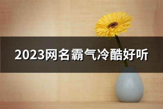 2023網名霸氣冷酷好聽(438個)