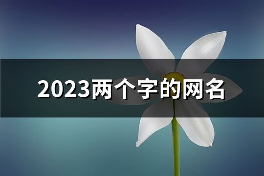 2023兩個字的網名(共995個)