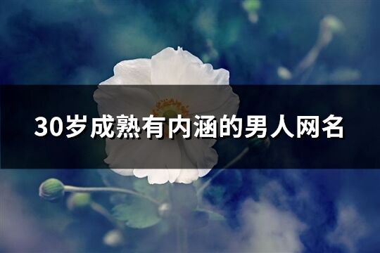 30歲成熟有內(nèi)涵的男人網(wǎng)名(精選350個)