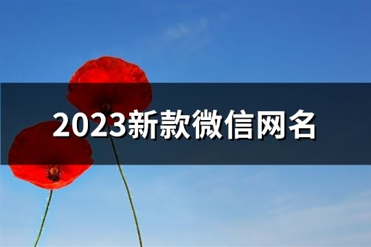 2023新款微信網(wǎng)名(共2955個(gè))