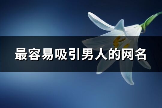 最容易吸引男人的網名(優選285個)