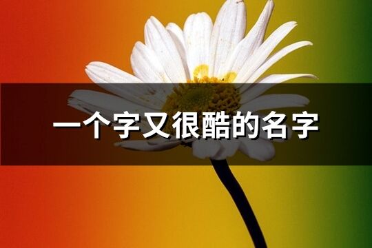 一個(gè)字又很酷的名字(精選84個(gè))