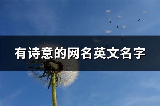 有詩意的網名英文名字(優選107個)