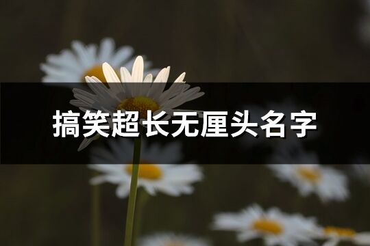搞笑超長無厘頭名字(精選356個)