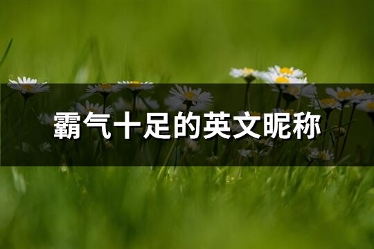 霸氣十足的英文昵稱(精選84個)