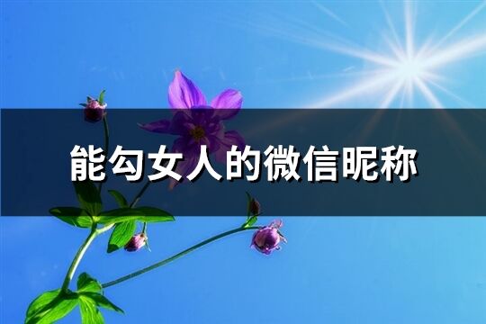 能勾女人的微信昵稱(共389個)