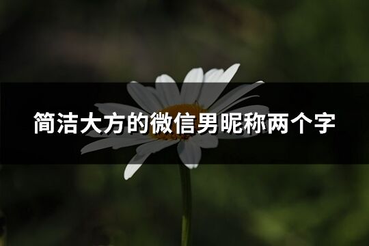 簡潔大方的微信男昵稱兩個(gè)字(精選570個(gè))