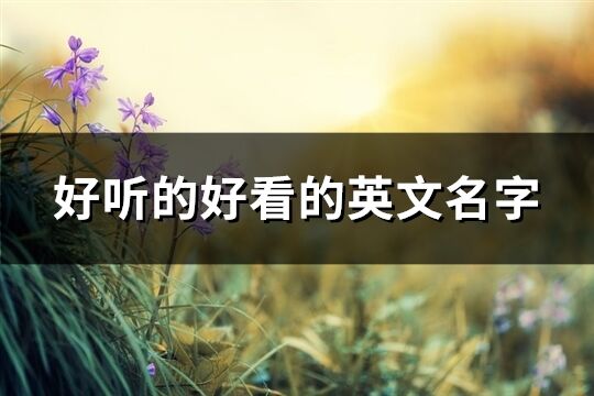 好聽的好看的英文名字(共83個)