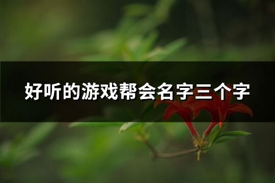 好聽的游戲幫會名字三個字(322個)