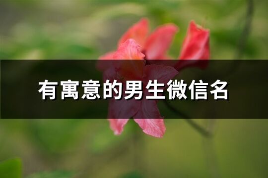 有寓意的男生微信名(共532個(gè))