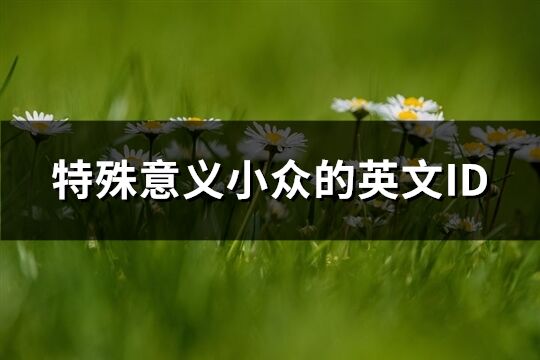 特殊意義小眾的英文ID(優(yōu)選102個(gè))