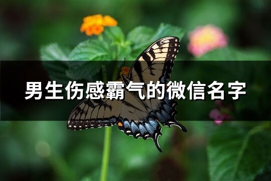 男生傷感霸氣的微信名字(共1058個)