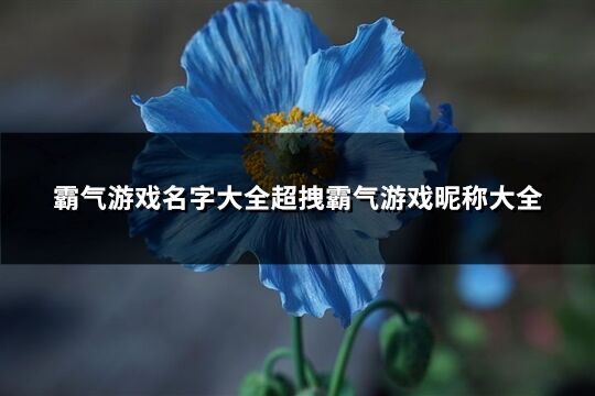 霸氣游戲名字大全超拽霸氣游戲昵稱大全(共842個)