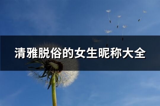 清雅脫俗的女生昵稱大全(443個)