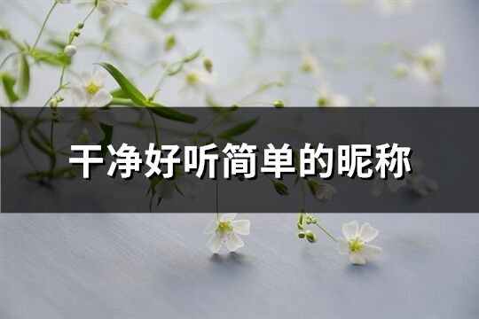 干凈好聽簡單的昵稱(精選756個)