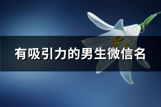 有吸引力的男生微信名(共453個(gè))