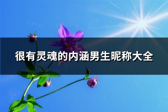 很有靈魂的內涵男生昵稱大全(共216個)