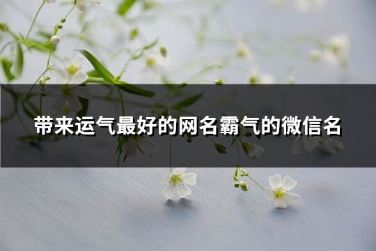帶來運氣最好的網名霸氣的微信名(731個)
