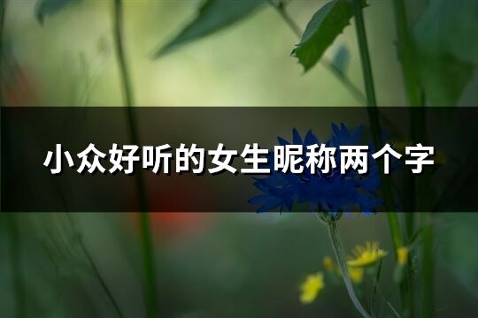 小眾好聽的女生昵稱兩個字(共639個)