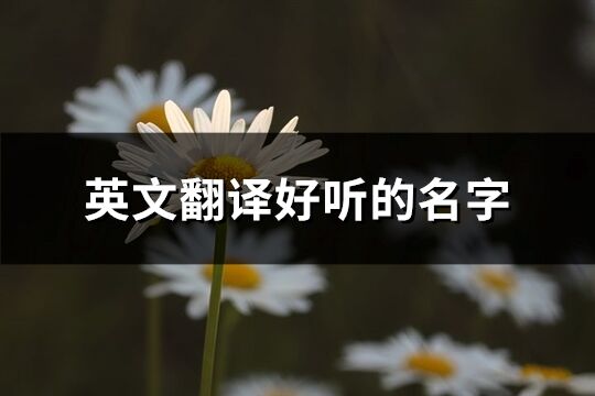 英文翻譯好聽的名字(精選238個)