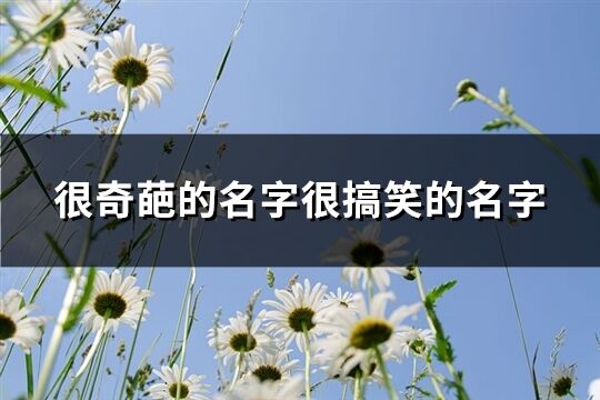 很奇葩的名字很搞笑的名字(123個(gè))