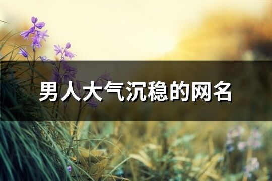 男***氣沉穩的網名(共551個)