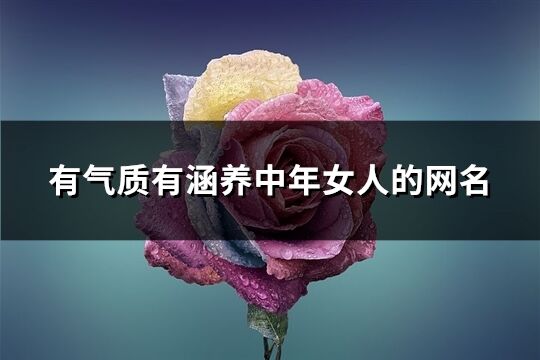 有氣質有涵養中年女人的網名(精選1265個)