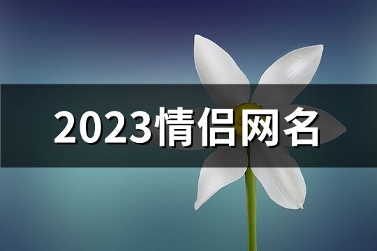 2023情侶網名(精選532個)