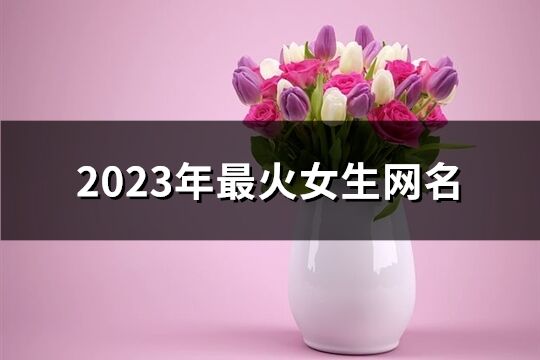 2023年最火女生網名(1667個)