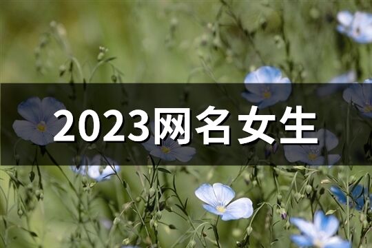 2023網(wǎng)名女生(精選2155個(gè))