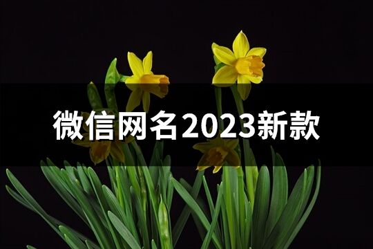微信網(wǎng)名2023新款(精選661個)