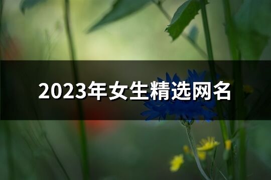 2023年女生精選網名(優選1918個)