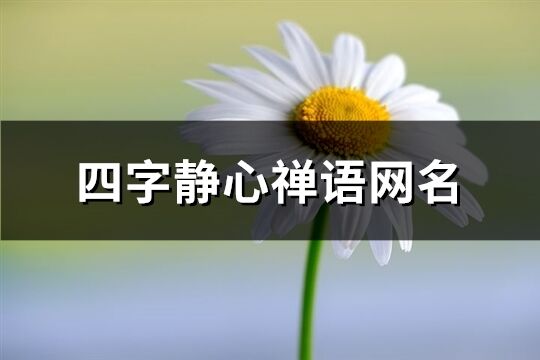 四字靜心禪語網名(精選201個)