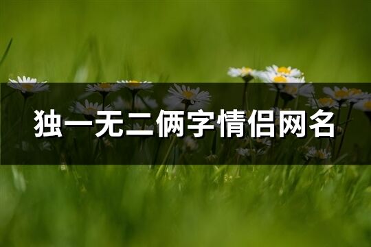 獨一無二倆字情侶網名(精選279個)