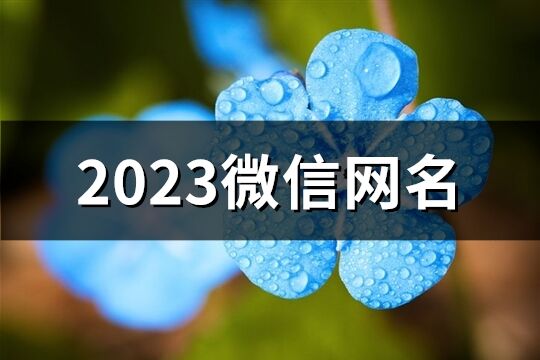 2023微信網(wǎng)名(886個(gè))