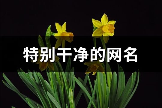 特別干凈的網(wǎng)名(精選801個)