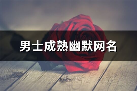 男士成熟幽默網(wǎng)名(優(yōu)選343個(gè))