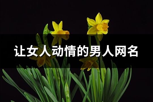 讓女人動情的男人網名(優選112個)